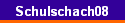 Schulschach08